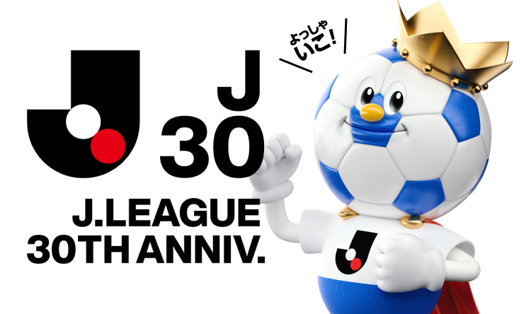 J.LEAGUE 30TH ANNIV.