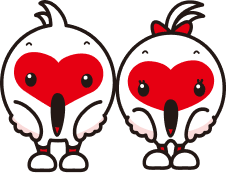 トッキッキ