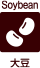 Soybean 大豆