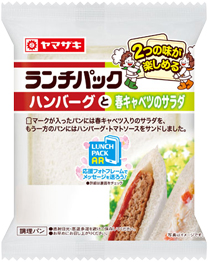 ハンバーグと春キャベツのサラダ