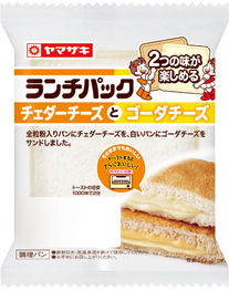 チェダーチーズとゴーダチーズ
