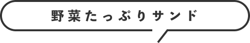 野菜たっぷりサンド