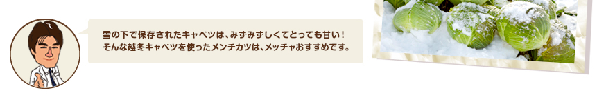 雪の下で保存されたキャベツは、みずみずしくてとっても甘い！そんな越冬キャベツを使ったメンチカツは、メッチャおすすめです。