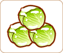 新食材「越冬キャベツ」をたずねて